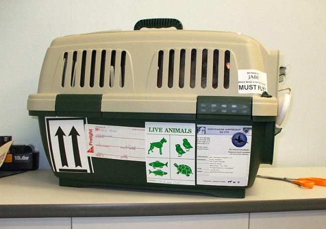 Pet carrier